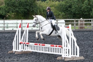 Class 5 - Fences not above 2'6